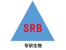 鮮牛奶外(wài)泌體(tǐ)