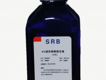 4%多(duō)聚甲醛固定液（中性）